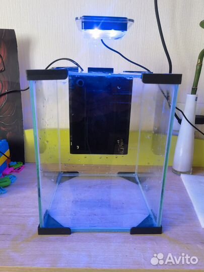 Аквариум