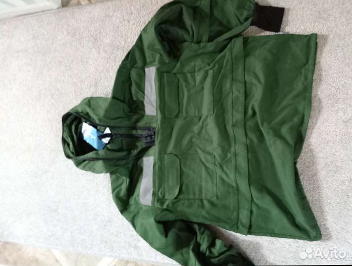 Энцифалитка