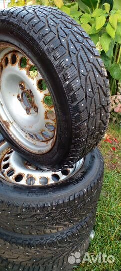 Tigar Ice 205/55 R16 94