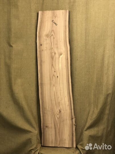 Слэб карагача