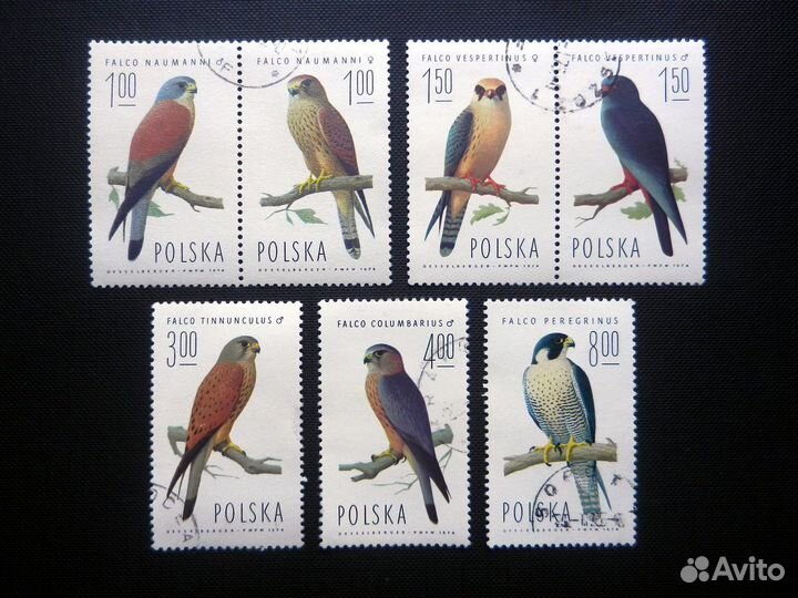 Почтовые марки - Польша