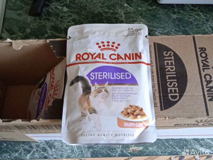 Влажный корм для кошек