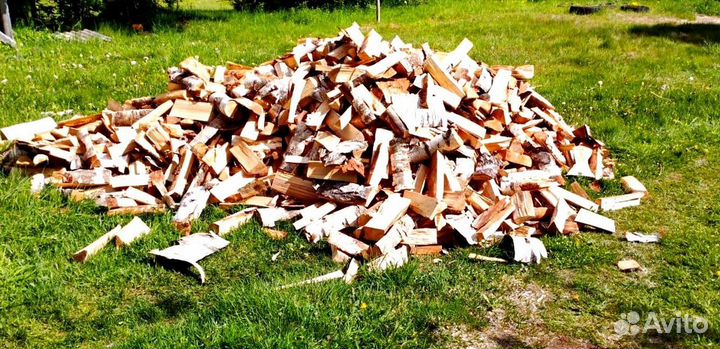 Дрова Береза привезем в Ленобласти любого объема