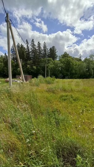 Участок 6 сот. (СНТ, ДНП)