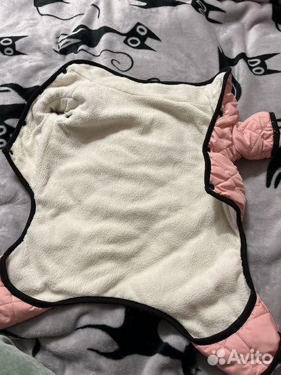 Одежда для собак