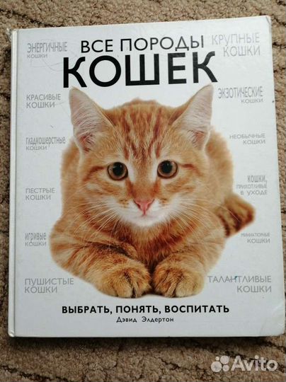 Детские энциклопедии