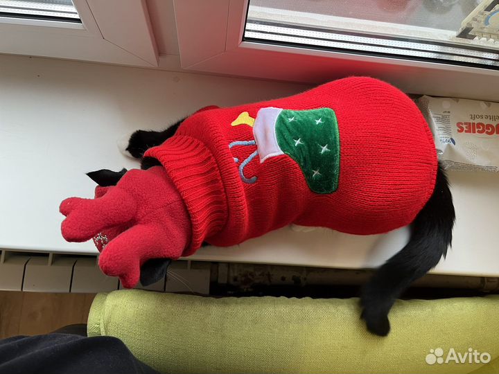 Костюм новогодний для кота/кошки/маленькой собачки