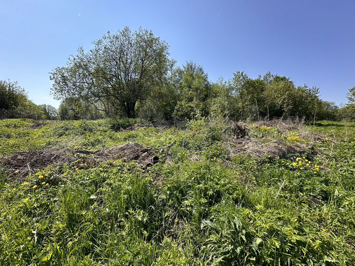 Участок 25 сот. (СНТ, ДНП)