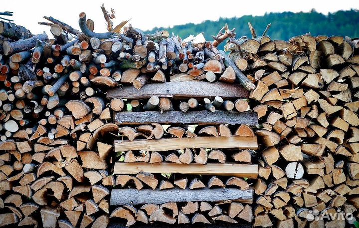 Дрова с Приморска
