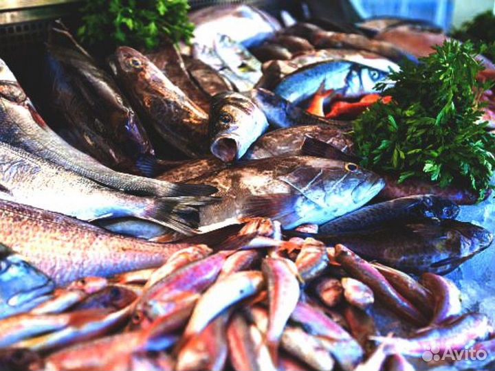 Магазин рыбы и морепродуктов