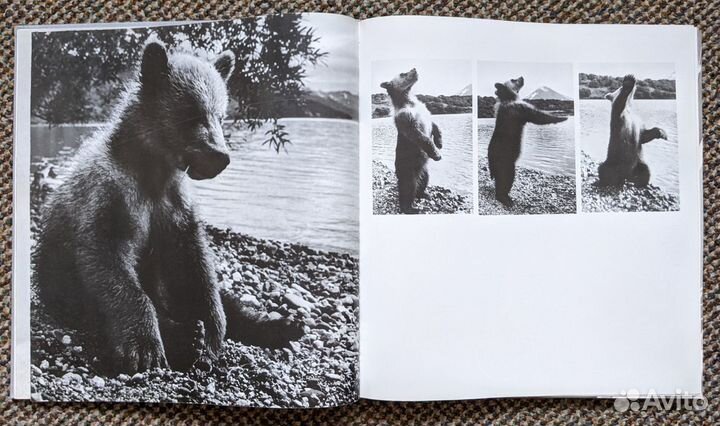 Юрий Муравин - Человек Земля Океан