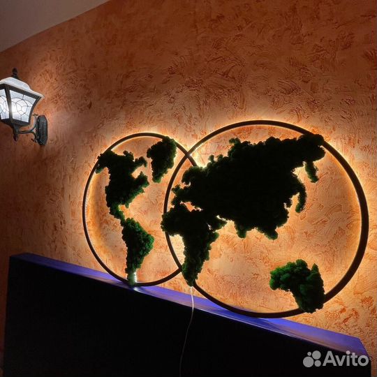 Карта мира из мха с рамкой