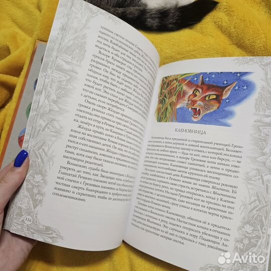 Коты воители книги