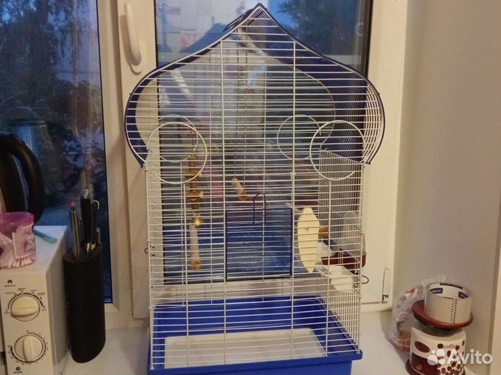 Клетка для попугая