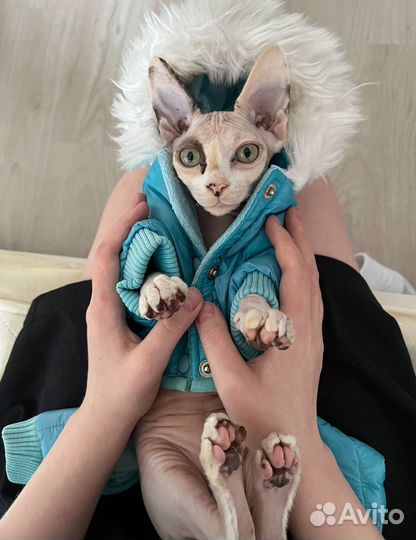 Шубка для питомца