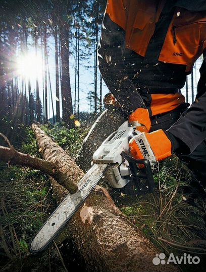 Валка деревьев