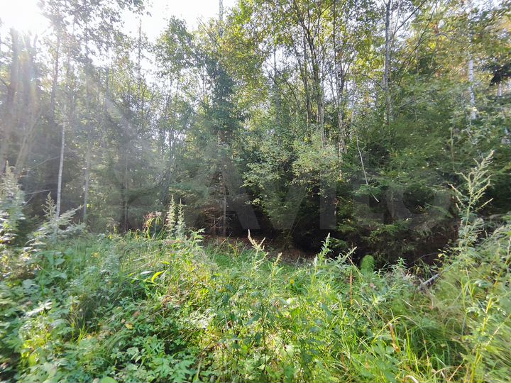 Участок 12 сот. (ИЖС)