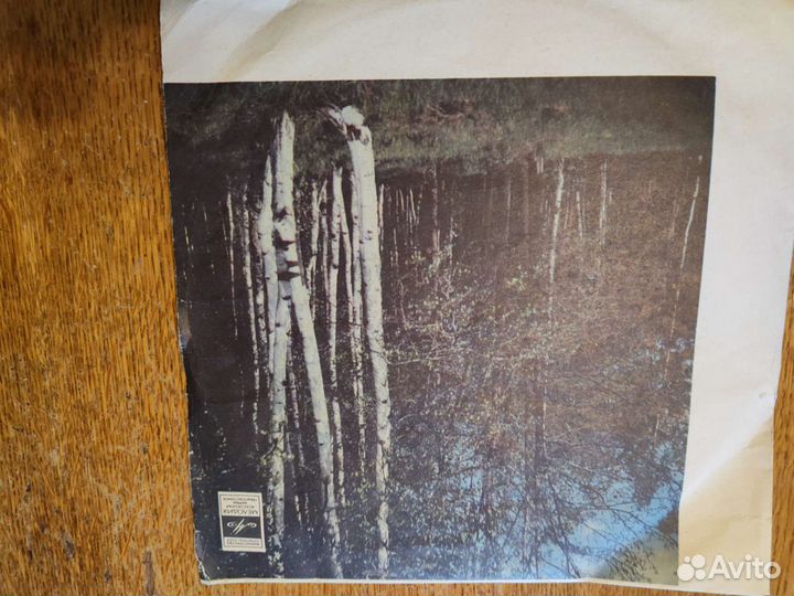 Виниловые пластинки