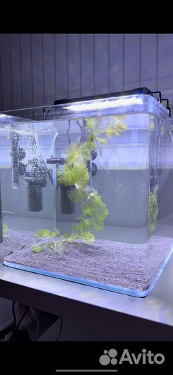 Аквариум cube панорамный