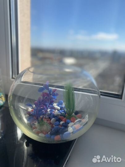 Аквариум для рыбок с камнями