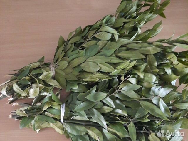 Лавровый лист