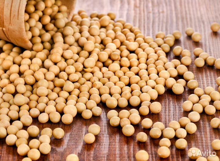 Соя, протеин не важен