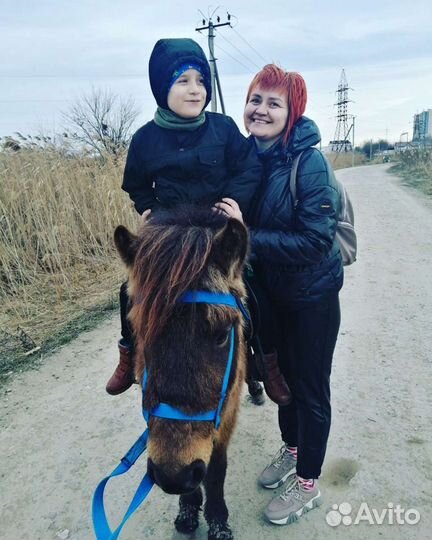 Прокат на лошади, лошадь на заказ, фотосессии, обу