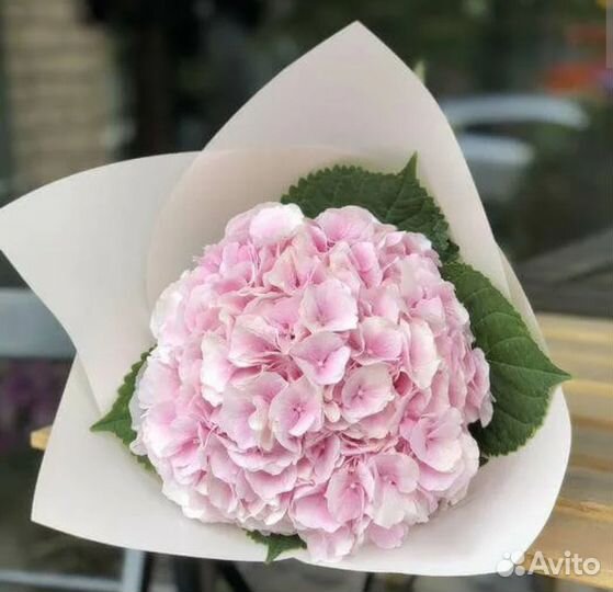 Букеты Горцензия 1 сентябя доставка