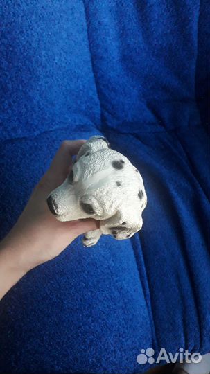 Далматин, щенок, копилка, собака, пес