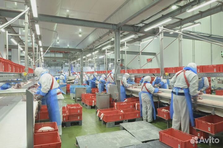 Жиловщик мяса