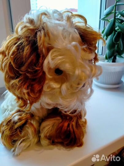 Собака СССР