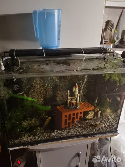 Аквариум(54*24*36)комплект