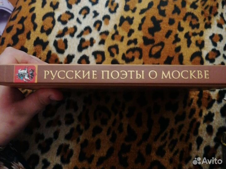 Русские поэты о Москве