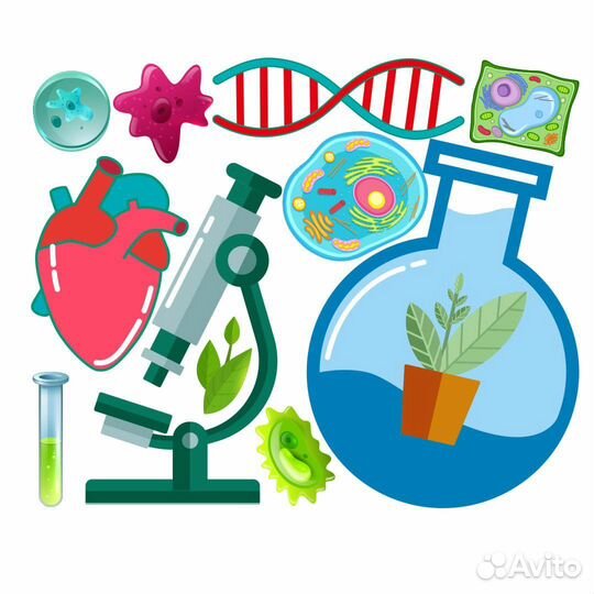 Репетитор по биологии огэ и егэ