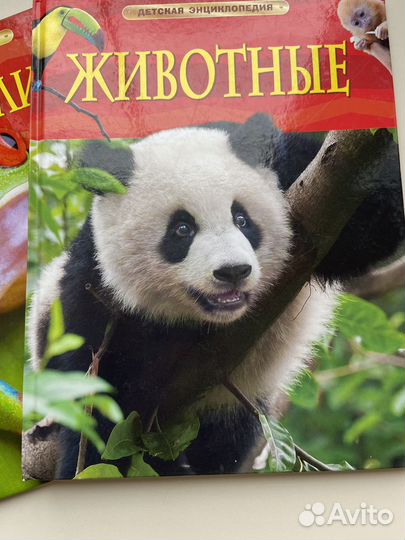 Детская энциклопедия Росмэн