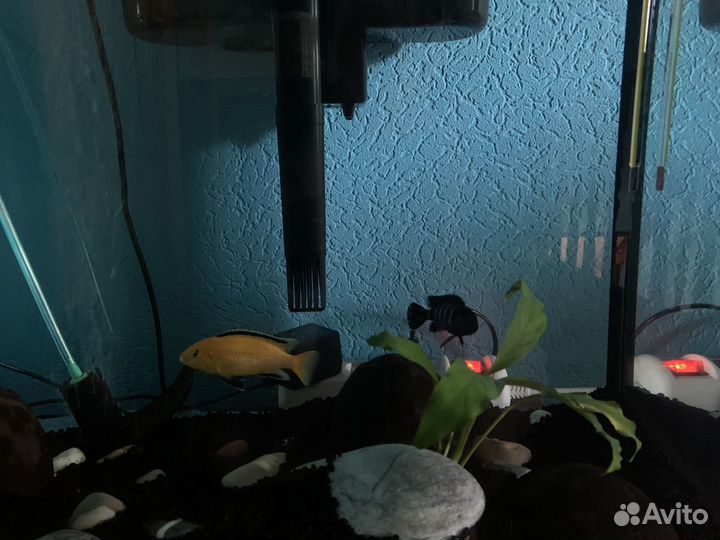 Аквариум