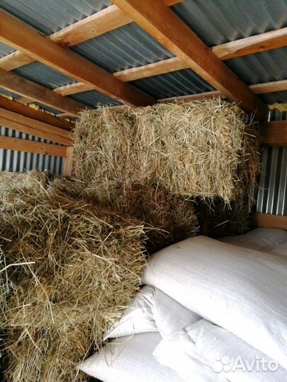Солома и сено в брикетах