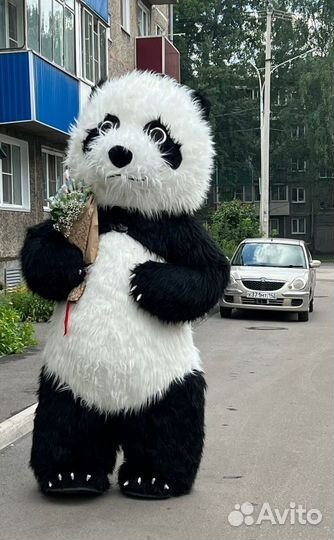 Ростовая кукла, аниматор, серпантин, шоу нащупал