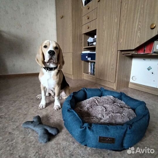 Лежанка для питомца новая