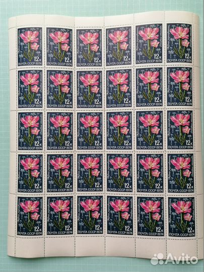 Марки. Флора. Цветы. Почта СССР. Ягоды. Лист. Блок