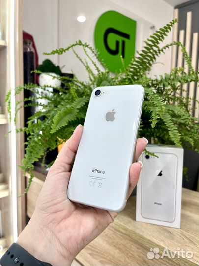 iPhone 8, 64 ГБ