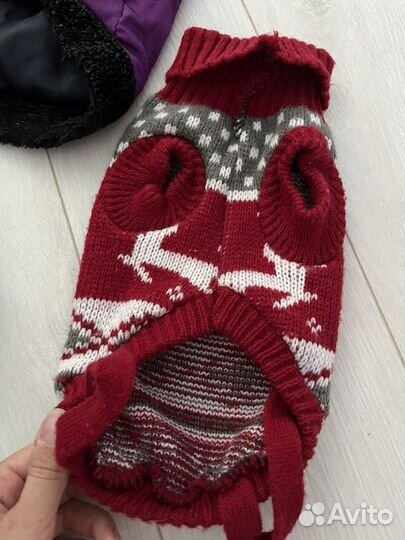 Одежда для маленьких собак