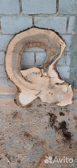 Слэбы векового ясеня