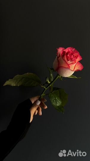 Цветы с доставкой