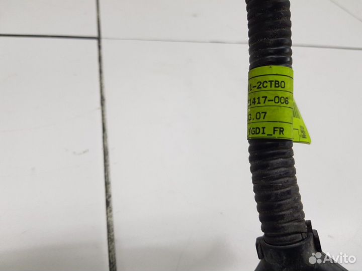 Электропроводка двигателя (Genesis G70)