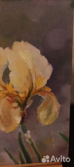 Картина с ирисом масло хост 35*20