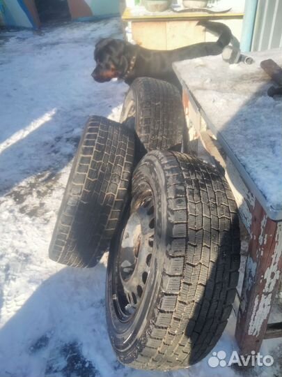 Goodyear Ice Navi Zea 195/65 R15 91Q