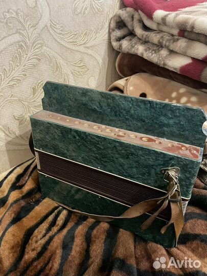 Баян Полтава