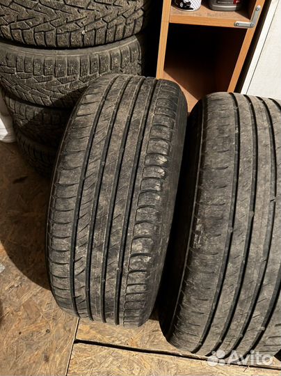 Nokian Tyres Nordman SX 205/55 R16 91H