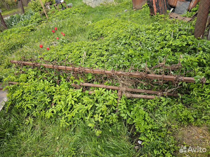 Культиватор+ сетчатая борона